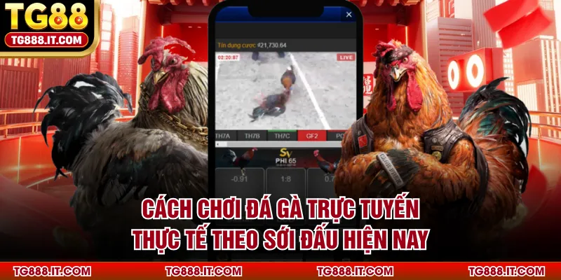 cach-choi-da-ga-truc-tuyen-thuc-te-theo-soi-dau-hien-nay (1)