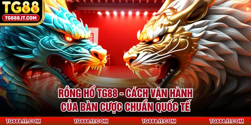 rong-ho-tg88-cach-van-hanh-cua-ban-cuoc-chuan-quoc-te