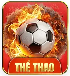 the-thao-icon